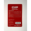Карта пам'яті micro sd Atlanfa 16 Гб із адаптером 10 class Чорна