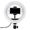 LED лампа RGB MJ20 20 cm. Черный
