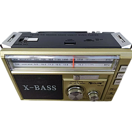 Портативний радіоприймач Golon RX-381/2 USB/SD з LED ліхтарем Gold (1756375738)