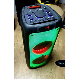 Аккумуляторная акустическая система ZPX ZX-7789 BT 200Вт 4 Ом с микрофоном (1806755103)