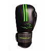 Боксерські рукавиці PowerPlay 3016 16 унцій Чорно-Зелені (PP_3016_16oz_Black/Green)