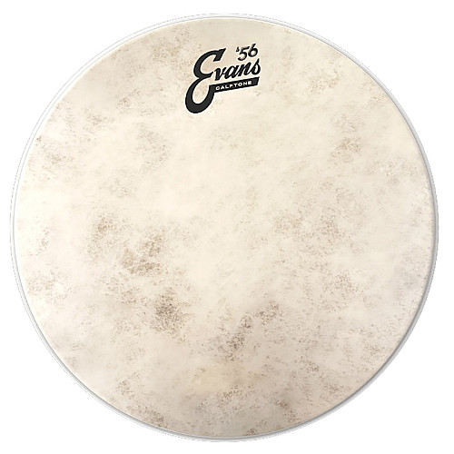 Пластик для тома Evans TT10C7 10 Calftone Tom