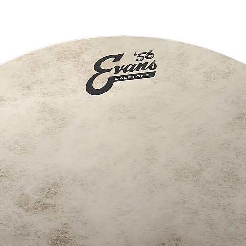 Пластик для тома Evans TT10C7 10 Calftone Tom