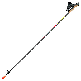 Палиці для скандинавської ходьби Gabel FX-75 Snake Carbon 120 Dual Spike (7008351011200)