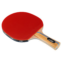 Ракетка для настольного тенниса в чехле CM-C300 Cima Черно-красный (60437033)