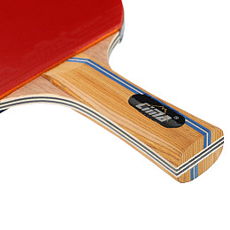 Ракетка для настольного тенниса в чехле CM-C300 Cima Черно-красный (60437033)