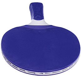 Ракетка для настільного тенісу Giant Dragon Outdoor MT-5686 FDSO Синій (60508756)