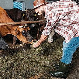 Моющее средство для обуви с дезинфицирующим эффектом Biogreen Санпропускник 10 л
