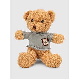 Мягкая игрушка Brands Медвежонок YF4113 Бежевый (2000990555267)