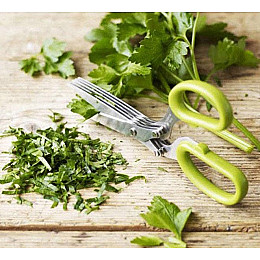 Ножиці для зелені з 5 лезами Empire EM-3114 19х1,5 см Зелений