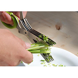 Ножиці для зелені з 5 лезами Empire EM-3114 19х1,5 см Зелений