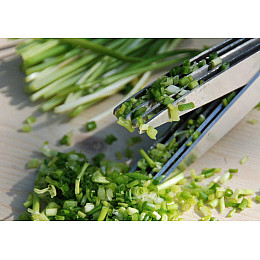 Ножиці для зелені з 5 лезами Empire EM-3114 19х1,5 см Зелений