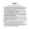 Муравьиная Ферма Mine Марко Амазонка комплект для новичка Зеленый (hub_FTFG32307)