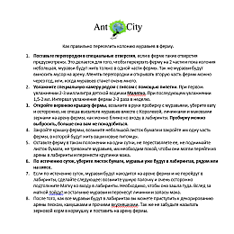 Мурашина Ферма Mine Марко Амазонка комплект для новачка Зелений (hub_FTFG32307)