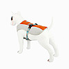 Шлей для собак TUFF HOUND TH00206 Orange L (5704-16650)