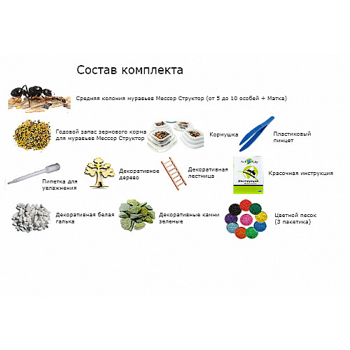 Муравьиная Ферма комплект для новичка Mine Марко Звездное Небо до 1500 Синий (hub_yo03sp)
