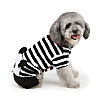 Костюм для собак Taotaopets Panda розмір XS (6220-20748)