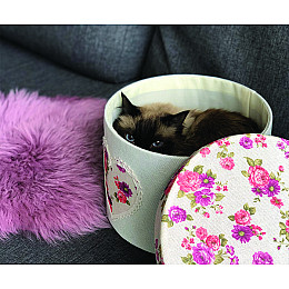 Короб Handy Home Цветы с крышкой 30х20 см (FB-22)