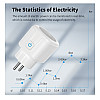 Умная розетка Tuya Smart WiFi Head 20А 80286320