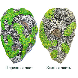 Плавающий парящий камень для аквариума Garden of Miracles 2 шт. 21х13см и 9,2х5,8см (vol-1915)