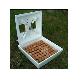 Інкубатор для яєць з ручним переворотом Квочка МІ-30-1 з терморегулятором на 70 курячих яєць