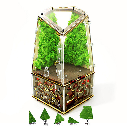 Вертикальна мурашина ферма AntHouse Flora Plus 340х160х160 мм Коричневий