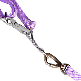 Шлея для собак или кошек с поводком Taotaopets 171120 L 2.0 cm 1,12 м Фиолетовый (10460-56778)