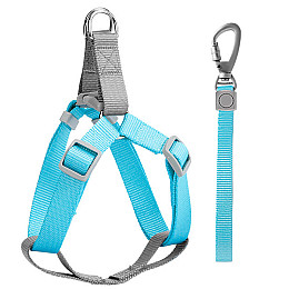 Шлея для собак и кошек с поводком Taotaopets 171120 L 2.0 cm 1,12 м Голубой (10460-56772)