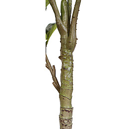 Искусственное растение Engard Fiddle, 110 см (DW-04)