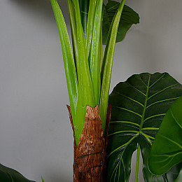 Искусственное растение Engard Taro 170 см (DW-06)