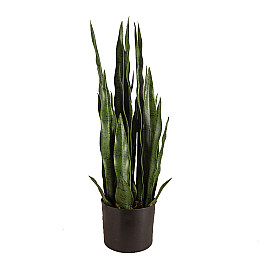 Штучна рослина Engard Sansevieria, 65 см (DW-10)