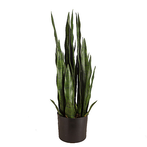 Штучна рослина Engard Sansevieria, 65 см (DW-10)