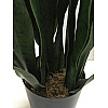 Штучна рослина Engard Sansevieria, 65 см (DW-10)