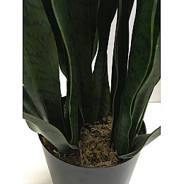 Искусственное растение Engard Sansevieria, 65 см (DW-10)