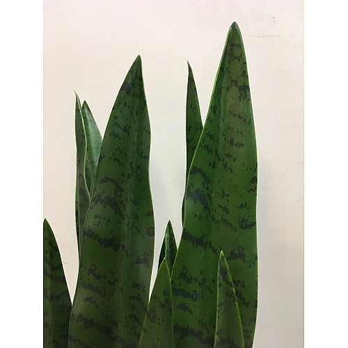 Штучна рослина Engard Sansevieria, 65 см (DW-10)