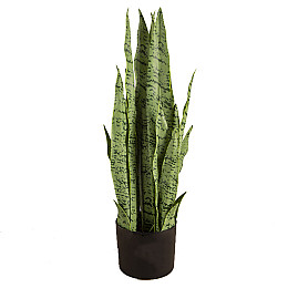 Штучна рослина Engard Sansevieria, 65 см (DW-11)