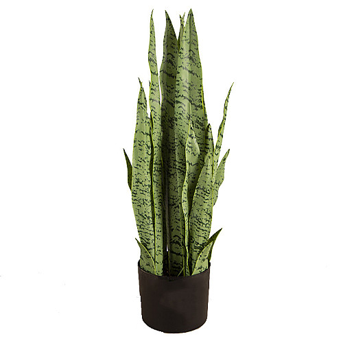Штучна рослина Engard Sansevieria, 65 см (DW-11)