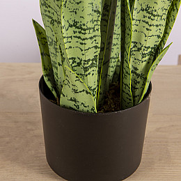 Искусственное растение Engard Sansevieria, 65 см (DW-11)