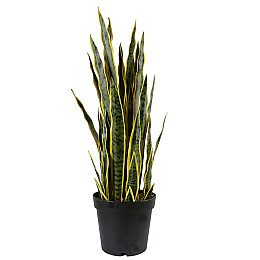 Штучна рослина Engard Sansevieria, 92 см (DW-12)