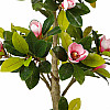 Штучна рослина Engard Magnolia 150 см (DW-19)