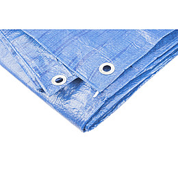 Тент MASTERTOOL 10х12 м 65 г/м² Blue (79-9012)