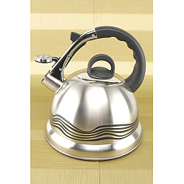 Чайник кухонный со свистком для всех типов плит A-PLUS WK-1384 3.2 л Steel