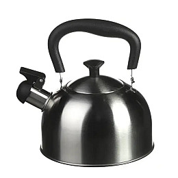 Чайник зі свистком A-PLUS 1373 2 л Steel