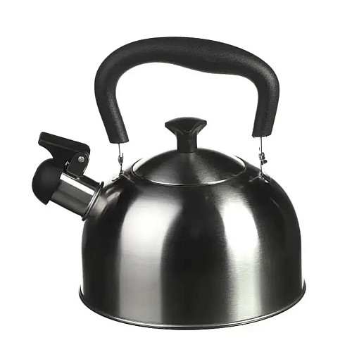 Чайник зі свистком A-PLUS 1373 2 л Steel