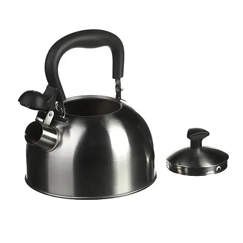 Чайник зі свистком A-PLUS 1373 2 л Steel