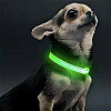 Светодиодный LED ошейник Lesko Green M USB светящийся для собак и котов