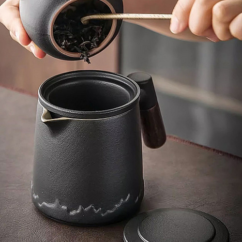 Дорожный чайный набор Lesko заварник + 4 пиал с чехлом 350 ml Black керамический для пуэра (12274-69363)