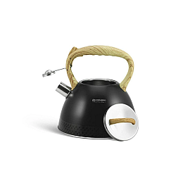 Чайник со свистком Edenberg EB-8809 изменяющий цвет со свистком 3л черный (1783893110)