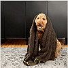 Рушник для тварин великий e-Cloth Cleaning and Drying Towel 211780