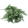 Искусственная ветка Engard "Persian fern" 65 cм (AV-01)